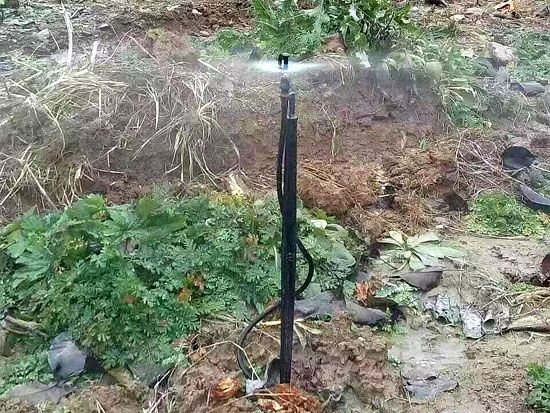 地插微噴